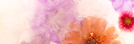 Summer banner of frozen flowers in ice, geraniums and petunias, mint and zinniasの写真素材