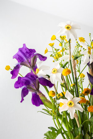 Home interior with a bouquet of spring flowers, irises and yellow ranunculus with white daffodilsの写真素材