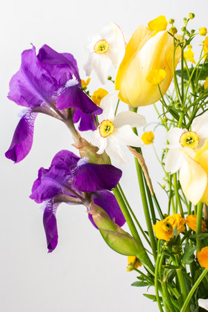 Home interior with a bouquet of spring flowers, Irises and yellow ranunculus, yellow tulips with white daffodilsの写真素材