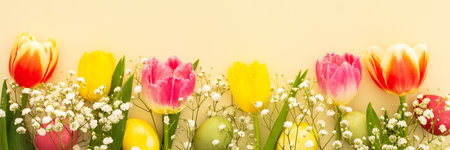Spring Easter background, multi-colored Easter eggs with tulips and gypsophila on a yellow background, bannerの写真素材