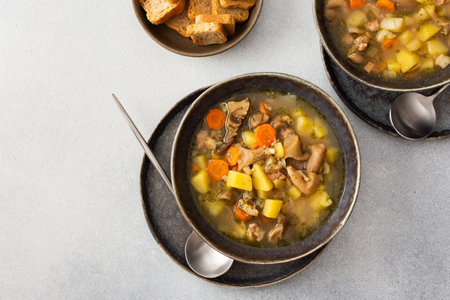 Mushroom soup in plates, soup made from mushrooms and potatoes, carrots and spices, top view, copy spaceの写真素材