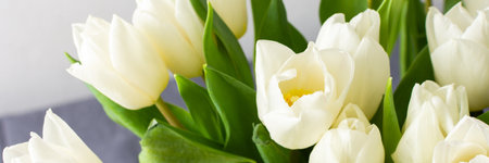 A charming home interior featuring a vibrant bouquet of white tulips, symbolizing the freshness of spring and enhancing the cozy and serene living spaceの写真素材