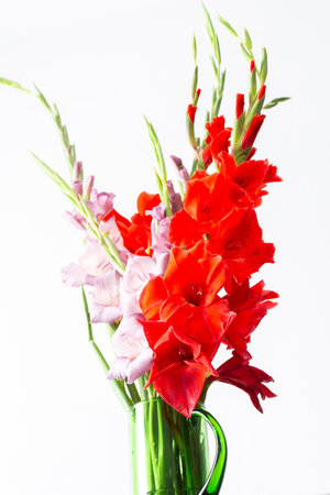 Summer bouquet of red and violet gladiolus, home decoration with flowers, bouquet with flowers on the tableの写真素材