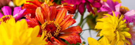 This vibrant bouquet of colorful Zinnia and Rudbeckia Goldquelle flowers brings a cheerful touch to home decor, bannerの写真素材
