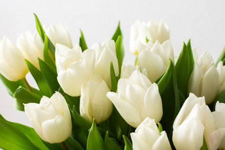 Close-up of a beautiful spring bouquet with white tulips, showcasing the delicate petals and vibrant freshness, perfect for nature-inspired decorの写真素材