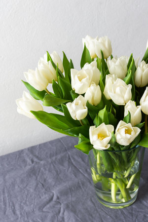 Elegant white tulips in a minimalist vase, placed in a modern living room setting, bringing freshness and tranquility to the spring-inspired interior decorの写真素材