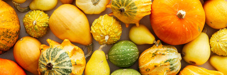 Fall season, background of different pumpkins, fall harvest, bannerの写真素材