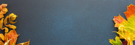 Autumn time, various fallen leaves on a dark blue background, banner