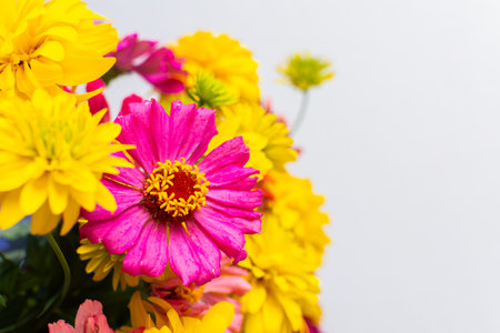 Enhance your home with a lively summer bouquet of Zinnia and Rudbeckia Goldquelle, offering a freshの写真素材