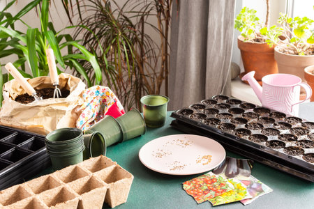 Preparation for spring work in the garden, planting tomato seeds on seedlings at home, wooden table...