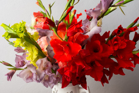 A vase holds a variety of colorful gladiolus including red and white blooms. The arrangement sits on a clean surface, adding a touch of nature to the indoor spaceの写真素材
