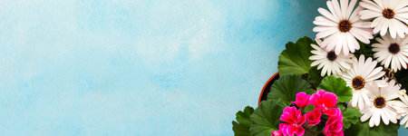 Colorful spring flowers adorn a home balcony, creating a lively atmosphere. The flowers include daisies, begonias, and petunias, celebrating the beauty of the season, bannerの写真素材