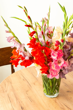 A vase holds a variety of colorful gladiolus including red and white blooms. The arrangement sits on a clean surface, adding a touch of nature to the indoor spaceの写真素材