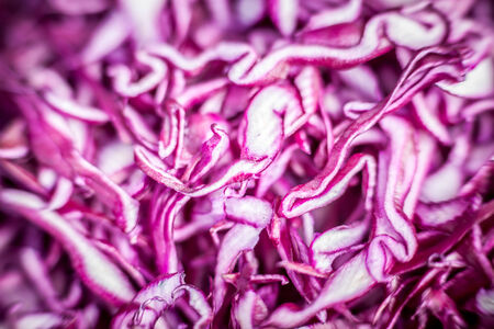 Colour details of chopped raw red cabbageの写真素材