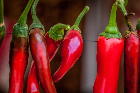 Colour picture of red peppers on a stringの写真素材