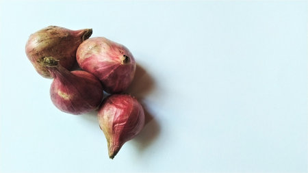 Four fresh purple red onions or shallots are arranged on a clean white background with soft natural lighting, ideal for healthy eating and culinary projects.の写真素材