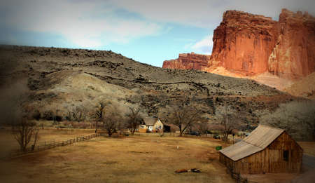 View of a farm in the desertの写真素材
