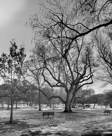 Boston Commons on a winter day