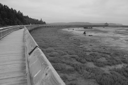 Curve of a bridge