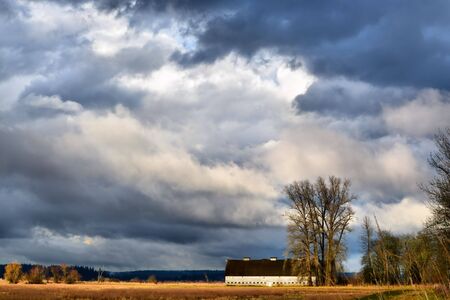 Barn and trees with cloudy skyの写真素材