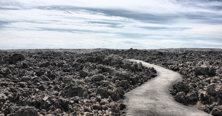 Path going through a Lava field
