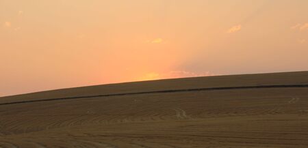 Wheat field and sunset over hillの写真素材