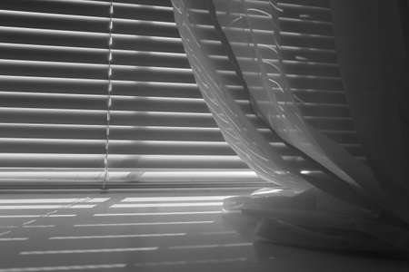 Black and white mini-blinds with window sheersの写真素材