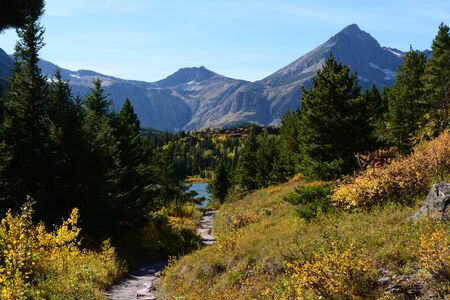 Trail in meadow in Fallの写真素材
