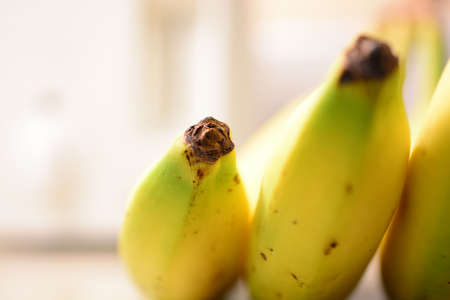 Macro of tip of one bananaの写真素材