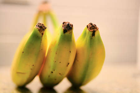 3 Bananas centeredの写真素材