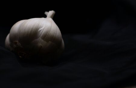 Garlic with black background with cool toneの写真素材