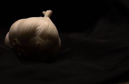 Garlic shadowed with warm toneの写真素材