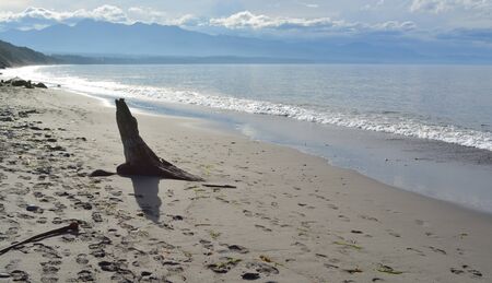 Driftwood log on beach in the sunshineの写真素材