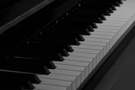 Piano key in black and white tone, closeupの写真素材
