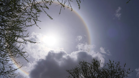 Sun halo white some rock and tree branches on the sunny dayの写真素材