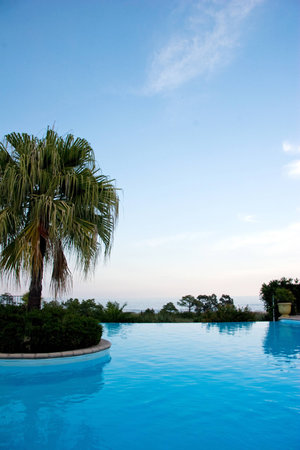 Palme am Poolの写真素材