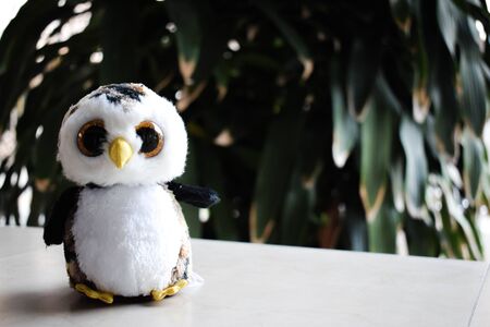 An owl doll with tree and spaceの写真素材