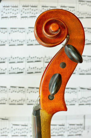 violin head over music notes
