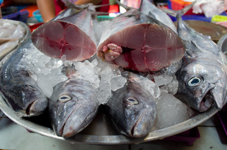 fresh fish at the market