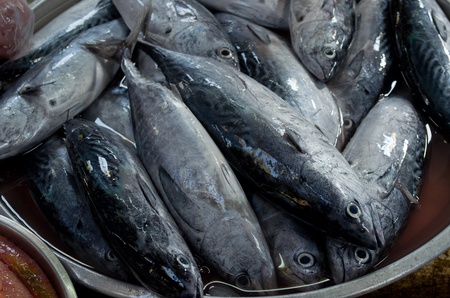 fresh fish at the marketの写真素材