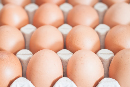 Closed up fresh chicken eggs, stock photo