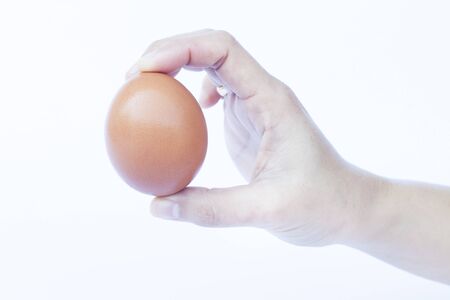 Hand holding egg isolated on white background, stock photoの写真素材