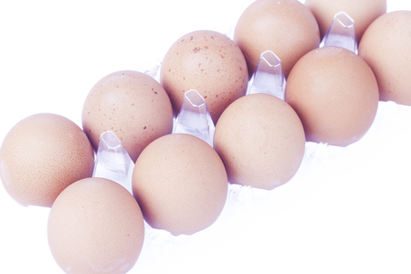 Eggs isolated on white background, stock photoの写真素材