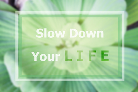 Slow down your life inspirational quote on blurred backgroundの写真素材