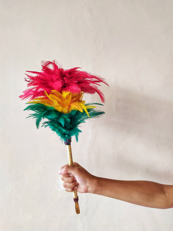 colorful feather duster in hand on the white wall background.の写真素材