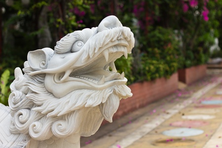 The animal in fairy Chinese tale mean the good fortune wealth power and live longの写真素材