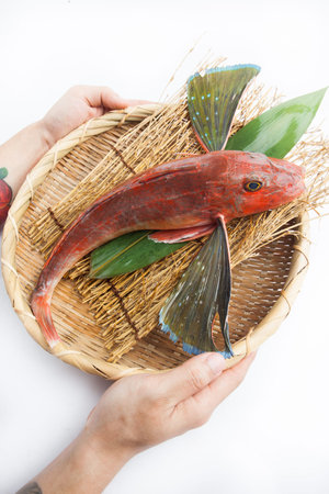 Fresh Japanese Fish on white background