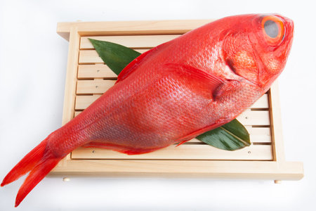Fresh Japanese Red sea-bream on white background