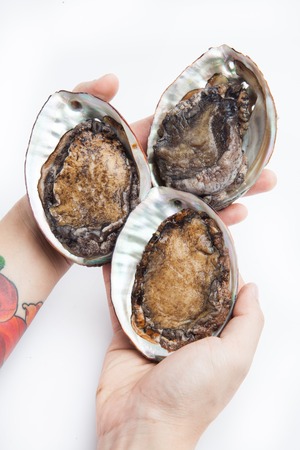 Fresh Japanese Abalone on white backgroundの写真素材