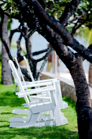 Beachchairs on the Gardenの写真素材